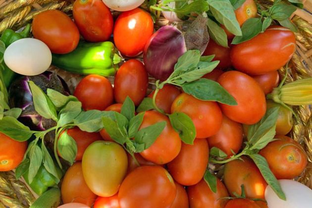 Sformato di melanzane